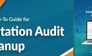 Citation Audit